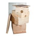 Good Land Bee Supply Double Deep Brood Box & Double Super Box 4 Tier Beginners Beehive Kit GL-2B2SK